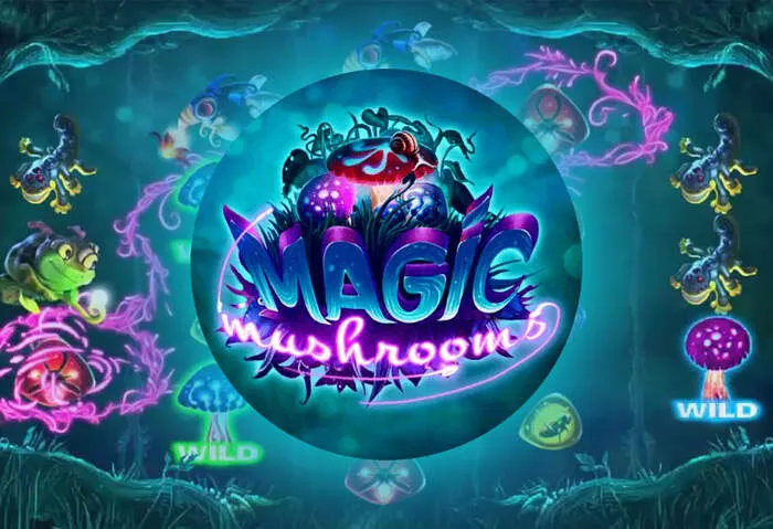 Beliebte Spiele nach Xon Casino Konto erstellen auswählen.