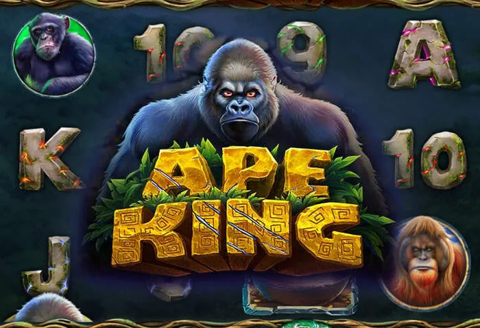 Conditions des Bonus Xon Casino expliquées.