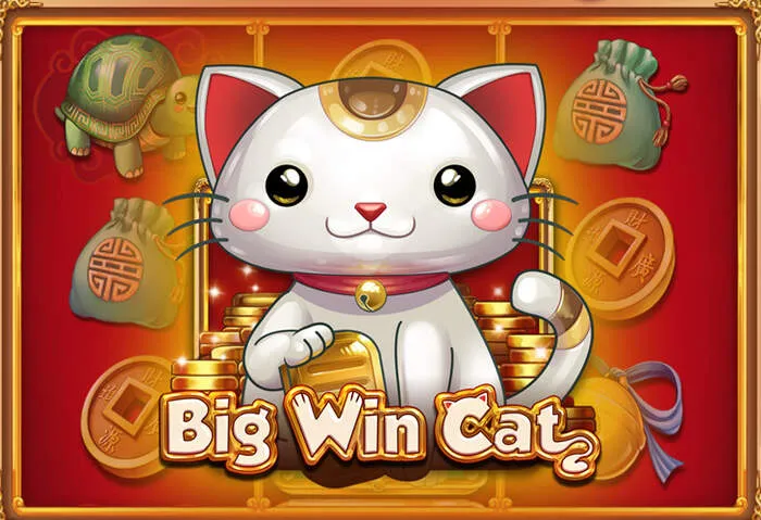 Interfaccia intuitiva Recensione Xon Casino Slot eccellente